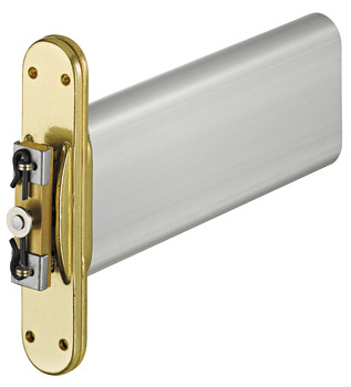 Concealed jamb door closer